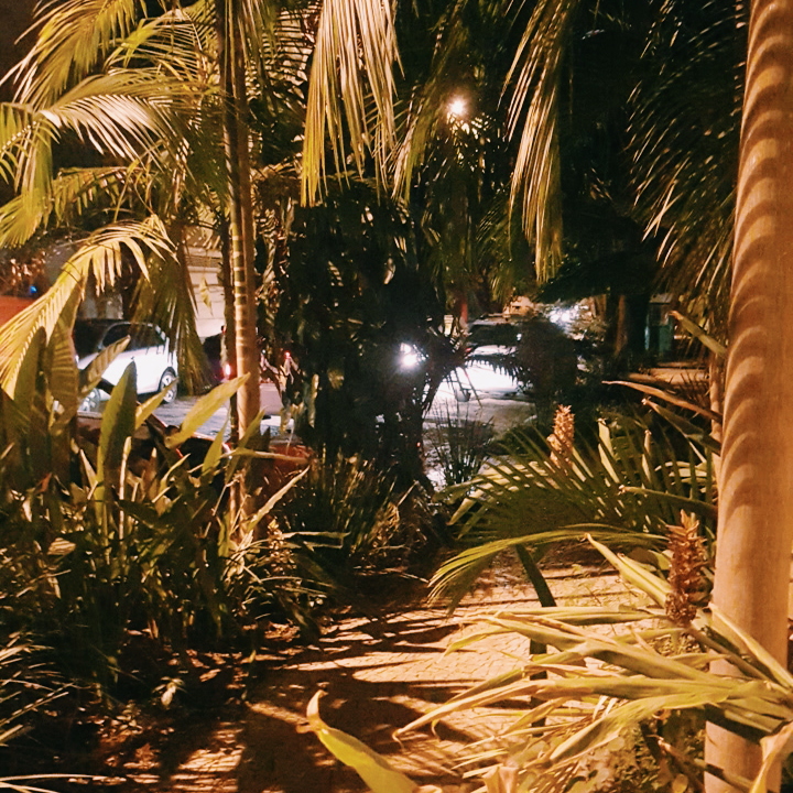 Processed with VSCO with c1 preset